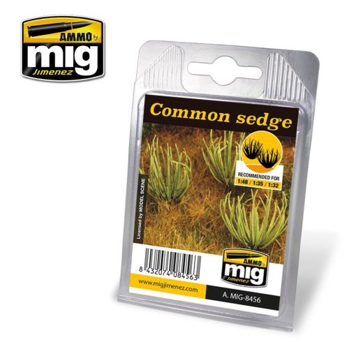 AMMO - Common Sedge