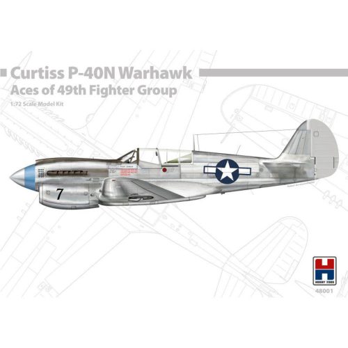 Hobby 2000 - P-40N Warhawk Aces of The 49th Fighter Group