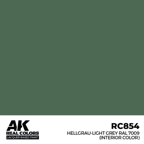 AK Interactive - Hellgrau-Light Grey RAL 7009 (interior color) 17 m