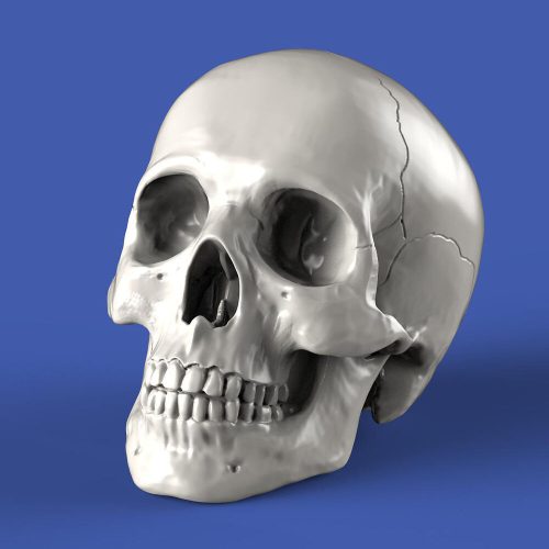 Royal Model - Skulls (90mm)