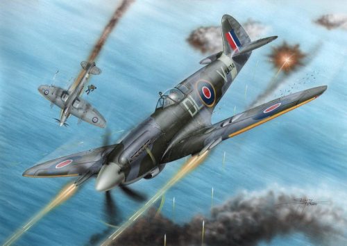 Special Hobby - Spitfire F Mk.21 No.91 Sq.RAF in WWII