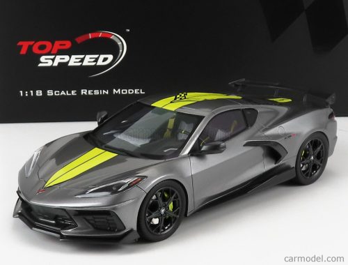 Truescale - Chevrolet Corvette Stingray N 0 Imsa Gtlm Championship Edition 2020 Grey Yellow